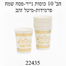 חבילת 10 כוסות הדפס זהב פסח שמח