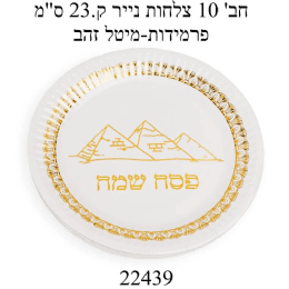 חבילת 10 צלחות הדפס זהב פסח שמח