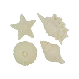 קישוט בצק סוכר- קונכיות גדולות בצבע לבן מבריק