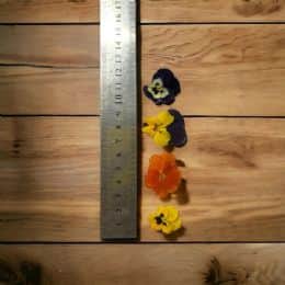 פרחים אכילים מיובשים- 20 יח