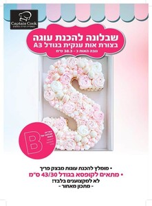 שבלונה מפלסטיק בגודל A3 האות B