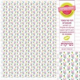 טרנספר רקע 32