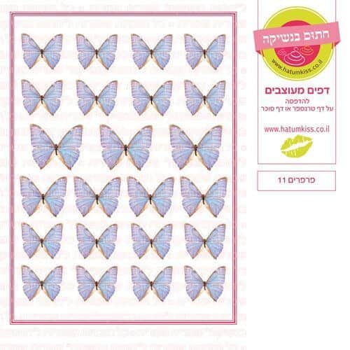 פרפרים 11